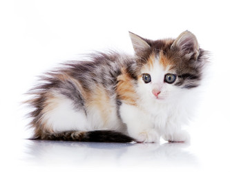 Similar image 3002301