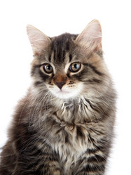 Similar image 3002812