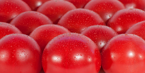 Similar image 3003543