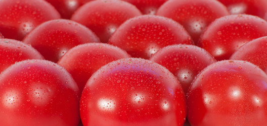 Similar image 3003544