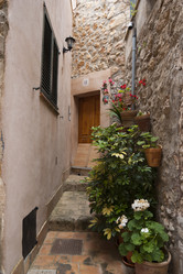 Similar image 3003582