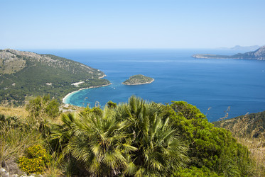 Similar image 3003585