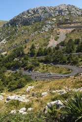 Similar image 3003588