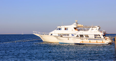 Similar image 3005077