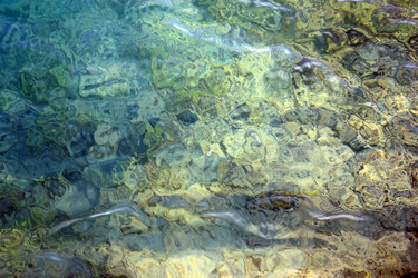 Similar image 3005093