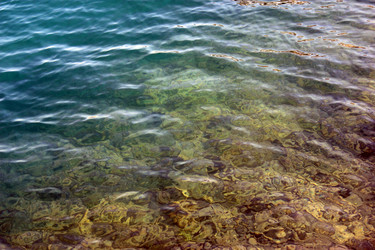 Similar image 3005119