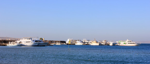 Similar image 3005202