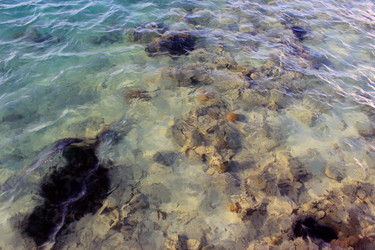 Similar image 3006461