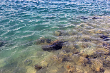 Similar image 3006475