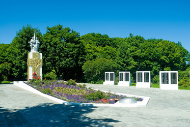 Similar image 3007613