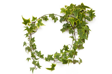 Similar image 3010826