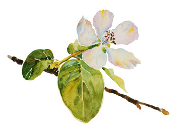 Similar image 3014867