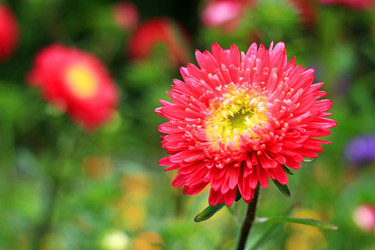 Similar image 3015872