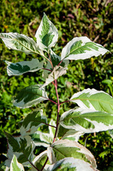 Similar image 3020357