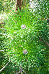 Similar image 3020444