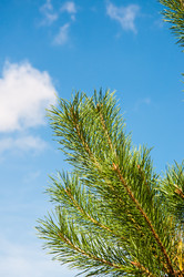 Similar image 3020482