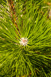 Similar image 3020504