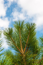 Similar image 3020521