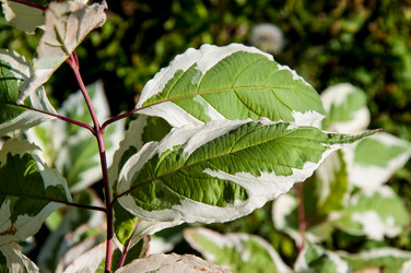 Similar image 3020545