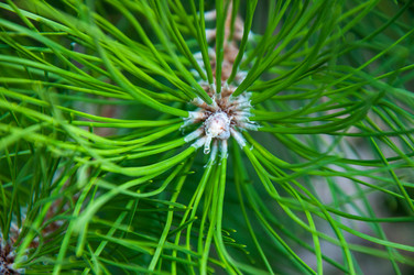 Similar image 3020583