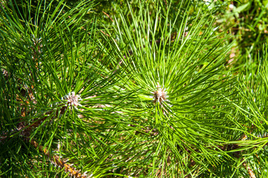 Similar image 3020616