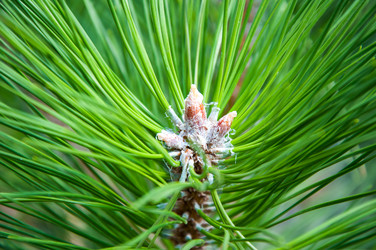 Similar image 3020683