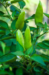 Similar image 3021219