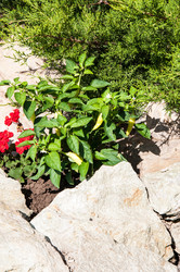 Similar image 3021319