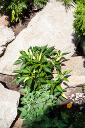 Similar image 3021330