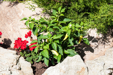 Similar image 3021344