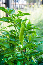 Similar image 3021362