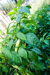 Similar image 3021363