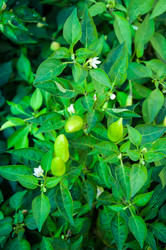 Similar image 3021364