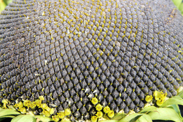 Similar image 3022598