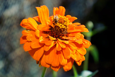 Similar image 3023536