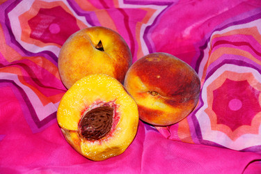 Similar image 3023782