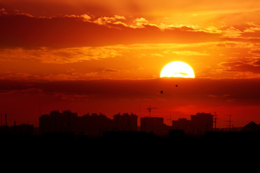 Similar image 3023996