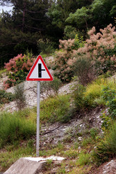 Similar image 3024954