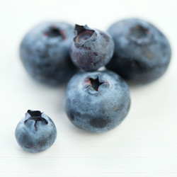 Similar image 3027600