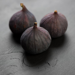 Similar image 3027675