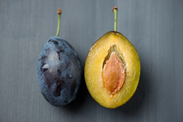 Similar image 3027709