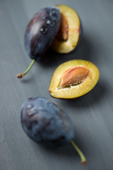 Similar image 3027748