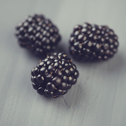 Similar image 3027783