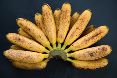 Similar image 3029666