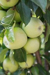 Similar image 3031356