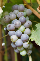 Similar image 3031357