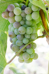 Similar image 3031446