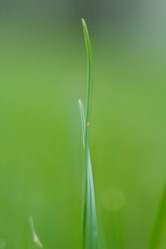 Similar image 3031513