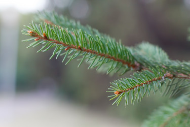 Similar image 3031558