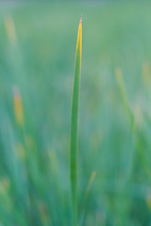 Similar image 3031574